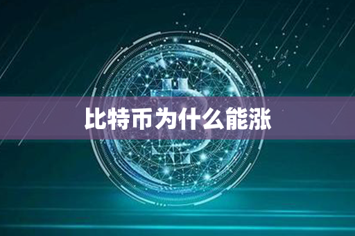 比特币为什么能涨