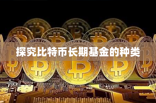 探究比特币长期基金的种类