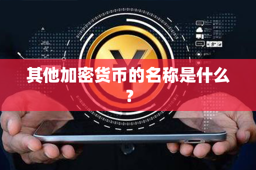 其他加密货币的名称是什么？