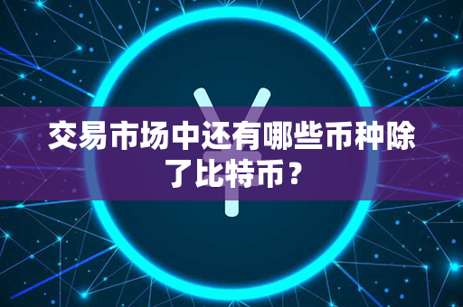 交易市场中还有哪些币种除了比特币？