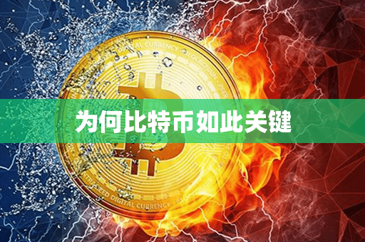 为何比特币如此关键