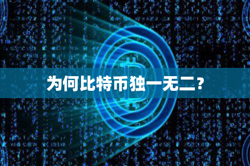 为何比特币独一无二？