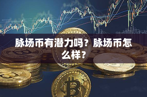 脉场币有潜力吗？脉场币怎么样？