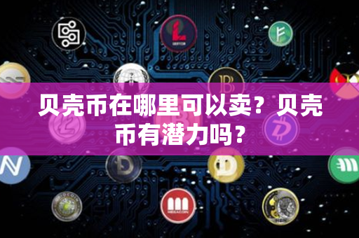 贝壳币在哪里可以卖？贝壳币有潜力吗？