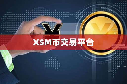 XSM币交易平台