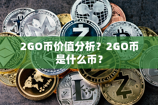 2GO币价值分析？2GO币是什么币？