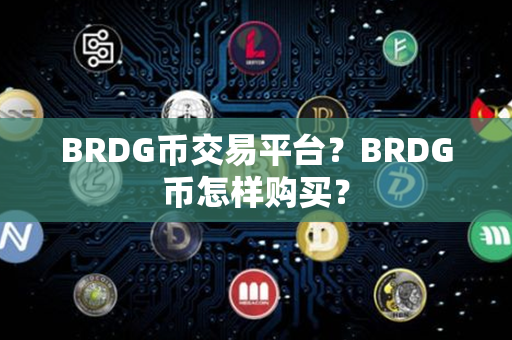 BRDG币交易平台？BRDG币怎样购买？