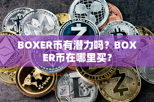 BOXER币有潜力吗？BOXER币在哪里买？