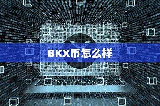 BKX币怎么样