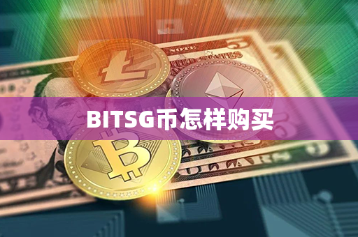 BITSG币怎样购买