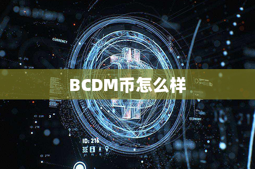 BCDM币怎么样