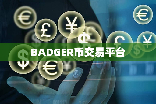 BADGER币交易平台