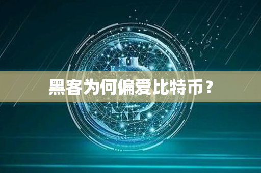 黑客为何偏爱比特币？