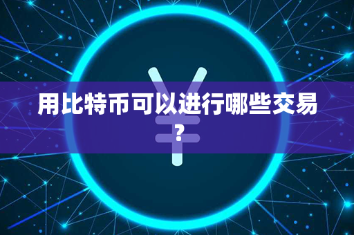 用比特币可以进行哪些交易？