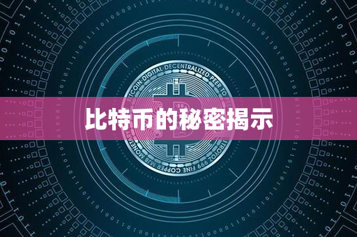 比特币的秘密揭示