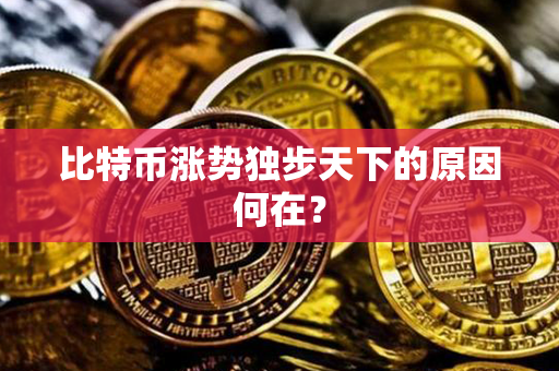 比特币涨势独步天下的原因何在？