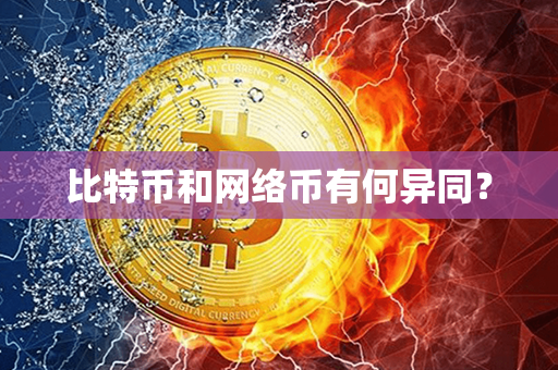 比特币和网络币有何异同？