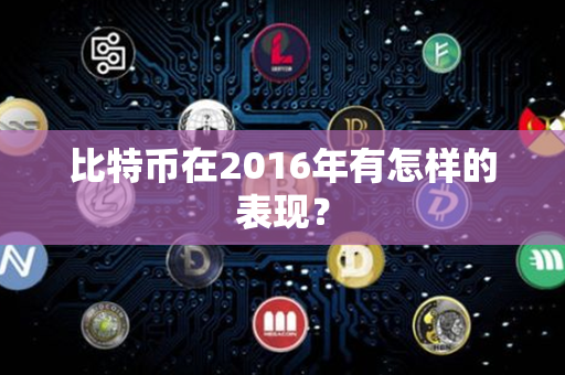 比特币在2016年有怎样的表现？