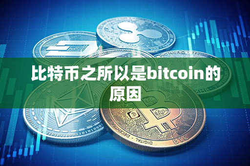 比特币之所以是bitcoin的原因