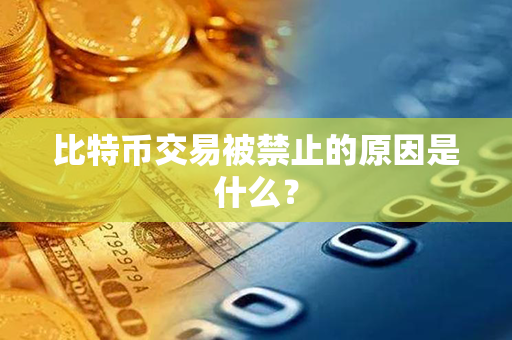 比特币交易被禁止的原因是什么？