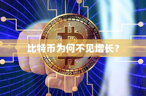 比特币为何不见增长？