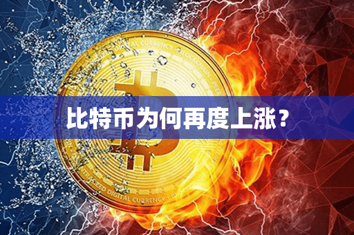 比特币为何再度上涨？