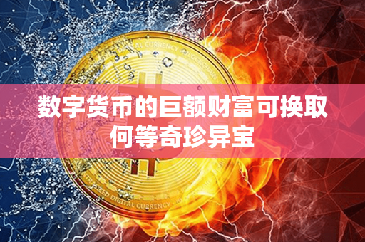 数字货币的巨额财富可换取何等奇珍异宝