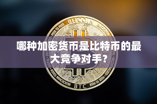 哪种加密货币是比特币的最大竞争对手？