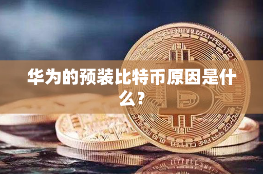 华为的预装比特币原因是什么？