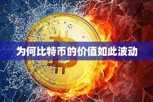 为何比特币的价值如此波动