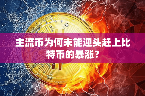 主流币为何未能迎头赶上比特币的暴涨？