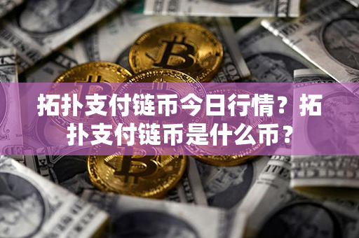 拓扑支付链币今日行情？拓扑支付链币是什么币？