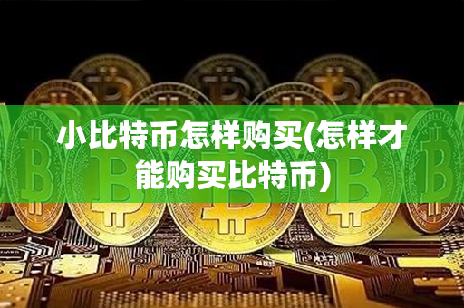 小比特币怎样购买(怎样才能购买比特币)