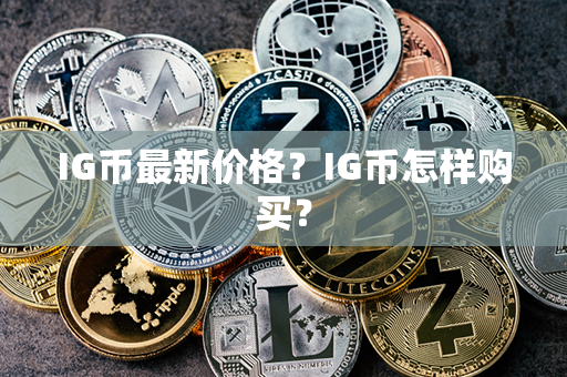 IG币最新价格？IG币怎样购买？