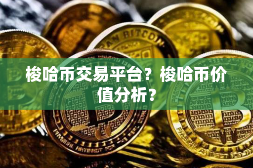 梭哈币交易平台？梭哈币价值分析？