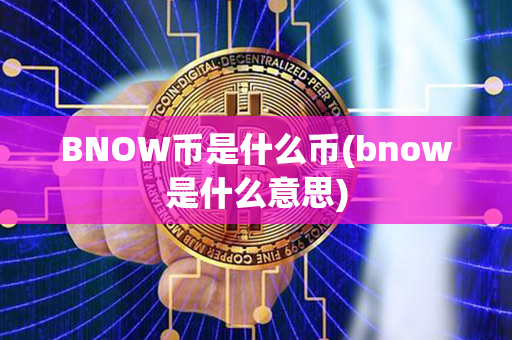 BNOW币是什么币(bnow是什么意思)