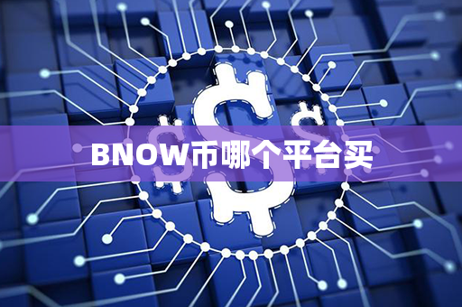 BNOW币哪个平台买