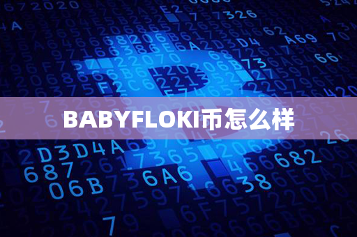 BABYFLOKI币怎么样