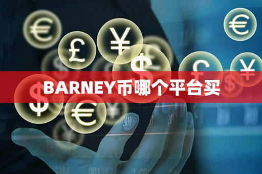 BARNEY币哪个平台买