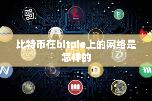 比特币在bitpie上的网络是怎样的