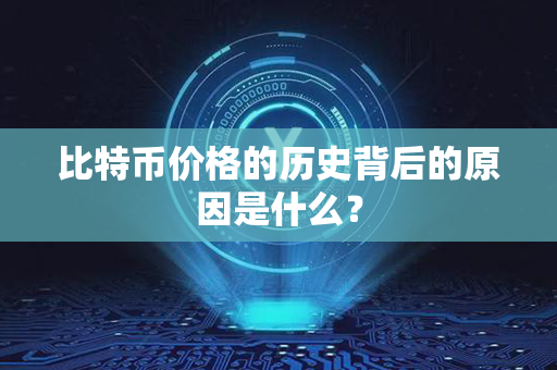 比特币价格的历史背后的原因是什么？