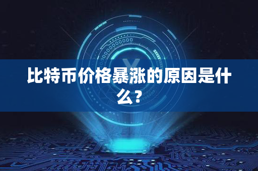 比特币价格暴涨的原因是什么？