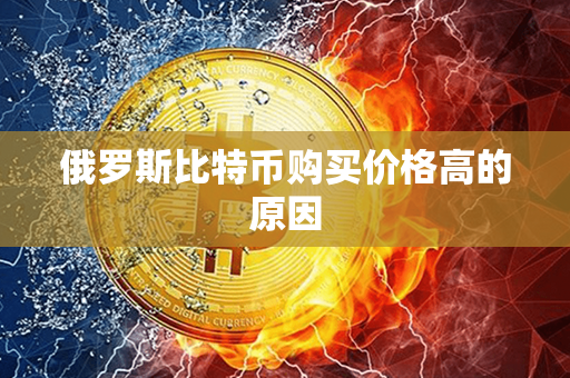 俄罗斯比特币购买价格高的原因