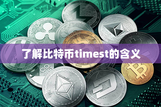 了解比特币timest的含义