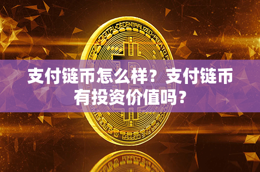 支付链币怎么样？支付链币有投资价值吗？