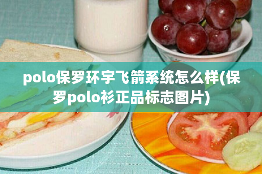 polo保罗环宇飞箭系统怎么样(保罗polo衫正品标志图片)