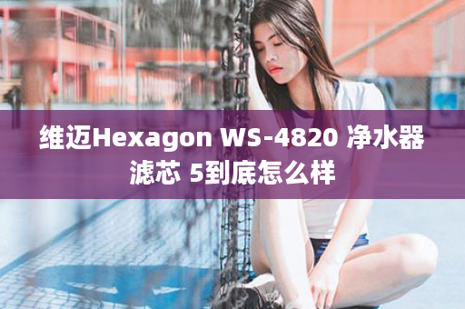 维迈Hexagon WS-4820 净水器滤芯 5到底怎么样