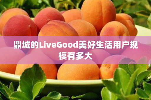 鼎城的LiveGood美好生活用户规模有多大