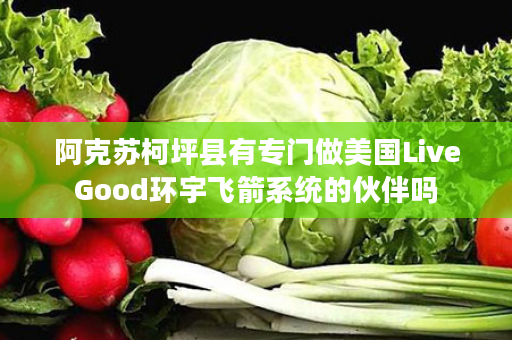 阿克苏柯坪县有专门做美国LiveGood环宇飞箭系统的伙伴吗