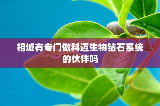 相城有专门做科迈生物钻石系统的伙伴吗